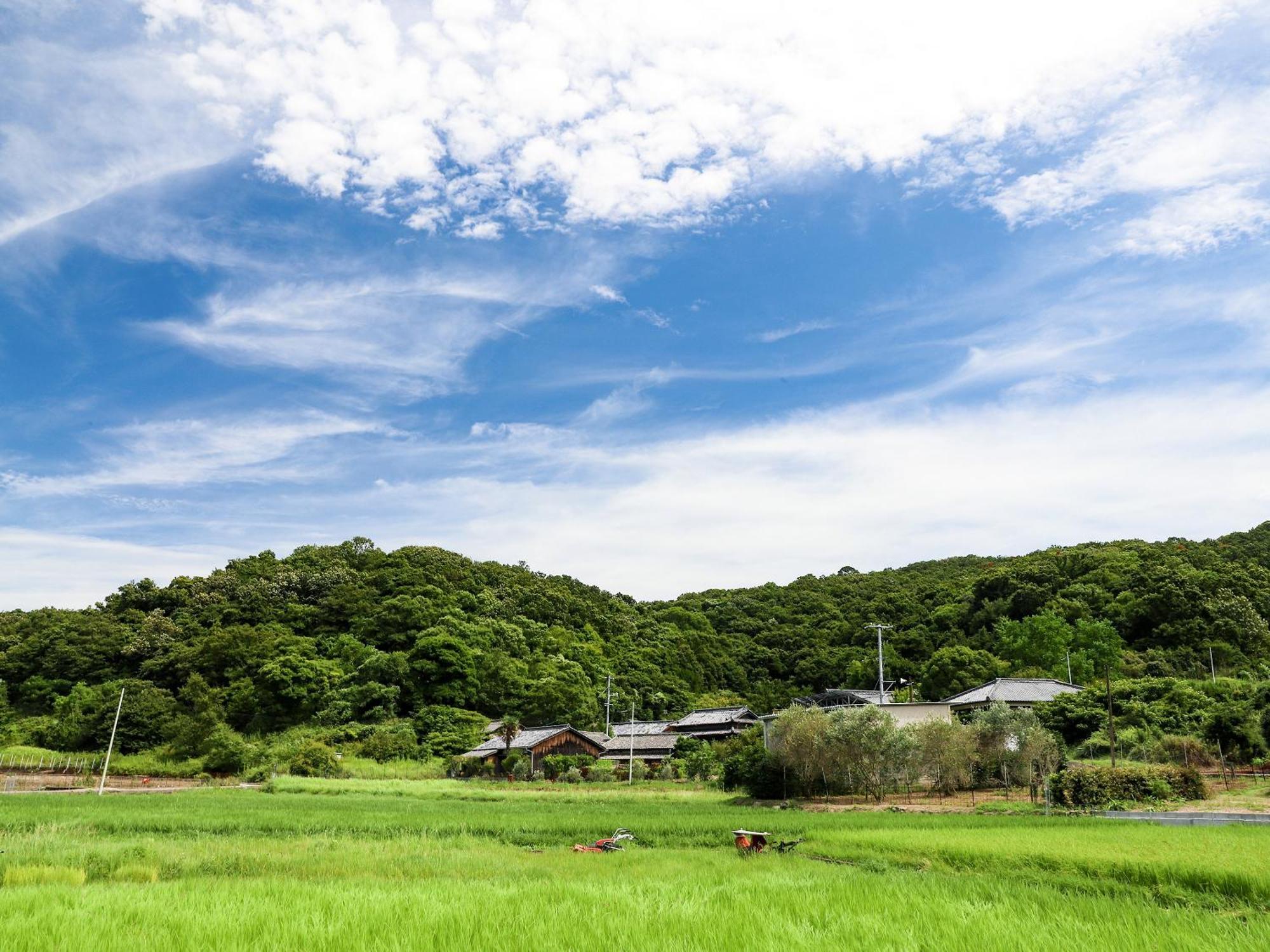 オリーブ農家の家 お泊り忠左衛門 吉野 Villa Shodoshima Eksteriør bilde